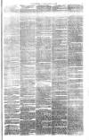 Bristol Observer Saturday 14 April 1877 Page 3