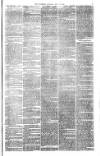 Bristol Observer Saturday 21 April 1877 Page 3