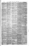 Bristol Observer Saturday 28 April 1877 Page 3