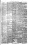 Bristol Observer Saturday 19 May 1877 Page 3