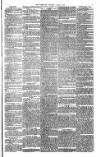 Bristol Observer Saturday 02 June 1877 Page 3