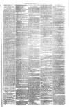 Bristol Observer Saturday 09 June 1877 Page 3