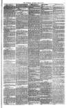 Bristol Observer Saturday 30 June 1877 Page 3