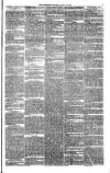 Bristol Observer Saturday 14 July 1877 Page 3