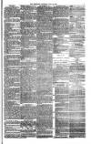 Bristol Observer Saturday 14 July 1877 Page 7