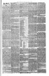 Bristol Observer Saturday 21 July 1877 Page 5