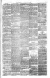 Bristol Observer Saturday 21 July 1877 Page 7