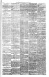 Bristol Observer Saturday 28 July 1877 Page 3