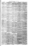 Bristol Observer Saturday 25 August 1877 Page 3