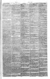 Bristol Observer Saturday 08 September 1877 Page 3