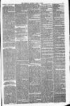 Bristol Observer Saturday 15 March 1879 Page 3