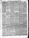 Stratford Times and South Essex Gazette Wednesday 12 April 1876 Page 5