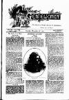 Gentlewoman Saturday 16 December 1893 Page 19