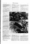 Gentlewoman Saturday 08 September 1900 Page 17