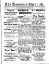 Dominica Chronicle Wednesday 22 March 1911 Page 1
