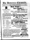 Dominica Chronicle Wednesday 24 January 1917 Page 1