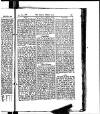 Madras Weekly Mail Saturday 25 November 1876 Page 17