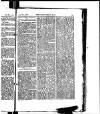 Madras Weekly Mail Saturday 25 November 1876 Page 21