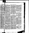 Madras Weekly Mail Saturday 25 November 1876 Page 25
