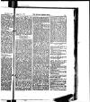 Madras Weekly Mail Saturday 25 November 1876 Page 27