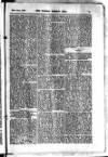Madras Weekly Mail Saturday 12 January 1878 Page 29