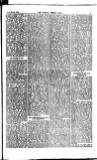 Madras Weekly Mail Wednesday 19 March 1884 Page 13