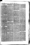 Madras Weekly Mail Wednesday 19 March 1884 Page 19
