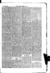 Madras Weekly Mail Wednesday 16 April 1884 Page 13