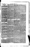 Madras Weekly Mail Wednesday 23 April 1884 Page 3