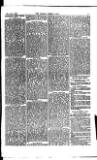 Madras Weekly Mail Wednesday 23 April 1884 Page 17