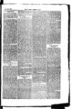 Madras Weekly Mail Saturday 14 June 1884 Page 5