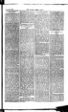 Madras Weekly Mail Saturday 14 June 1884 Page 7