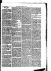 Madras Weekly Mail Saturday 21 June 1884 Page 3