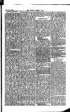 Madras Weekly Mail Saturday 21 June 1884 Page 21