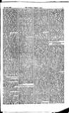 Madras Weekly Mail Saturday 12 July 1884 Page 19