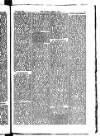 Madras Weekly Mail Saturday 19 July 1884 Page 15