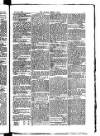 Madras Weekly Mail Saturday 19 July 1884 Page 19