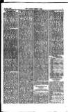 Madras Weekly Mail Saturday 02 August 1884 Page 5