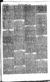 Madras Weekly Mail Saturday 02 August 1884 Page 23