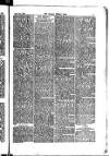 Madras Weekly Mail Saturday 16 August 1884 Page 13