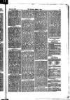 Madras Weekly Mail Saturday 16 August 1884 Page 25