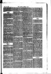 Madras Weekly Mail Saturday 23 August 1884 Page 11