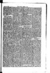 Madras Weekly Mail Saturday 23 August 1884 Page 15