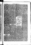 Madras Weekly Mail Saturday 23 August 1884 Page 17