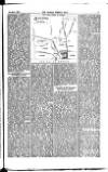 Madras Weekly Mail Saturday 06 September 1884 Page 11