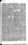 Madras Weekly Mail Saturday 06 September 1884 Page 13