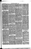 Madras Weekly Mail Saturday 06 September 1884 Page 17