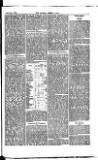 Madras Weekly Mail Saturday 13 September 1884 Page 7