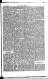 Madras Weekly Mail Saturday 13 September 1884 Page 13