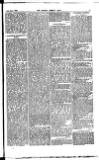 Madras Weekly Mail Wednesday 24 September 1884 Page 21